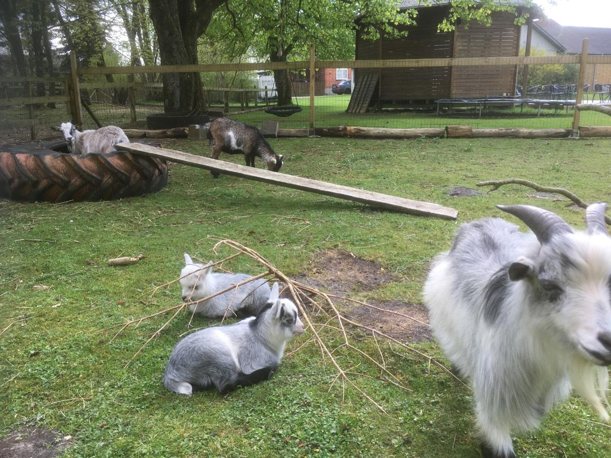 Hestkaer Family Rooms Summer Camp Krogager Bagian luar foto